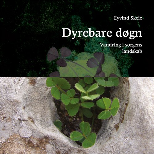 Cover for Eyvind Skeie · Dyrebare døgn (Book) [1e uitgave] (2011)