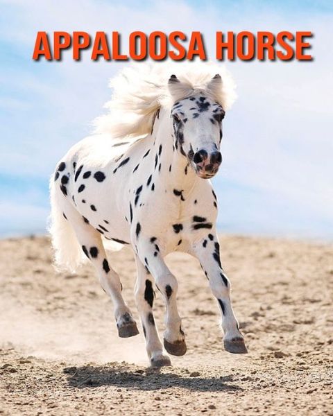 Cover for William Doyle · Appaloosa Horse (Paperback Book) (2020)