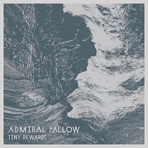 Cover for Admiral Fallow · Tiny Rewards (Dl Card) (LP) [Limited edition] (2015)