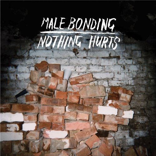 Cover for Male Bonding · Nothing Hurts (LP) (2010)