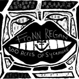 100 Acres Of Sycamore - Fionn Regan - Musiikki - Heavenly Recordings - 0602527710419 - perjantai 2. syyskuuta 2011