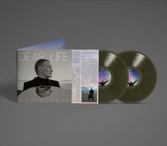 Cover for David Gray · Dear Life (LP) [Limited Sea Weed Green Vinyl edition] (2025)