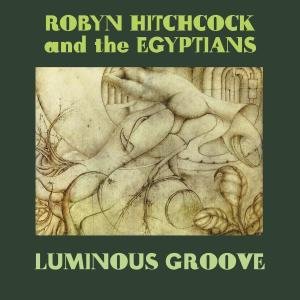 Cover for Robyn Hitchcock · Luminous Groove Box Set (LP) [Bonus Tracks edition] [Box set] (2008)