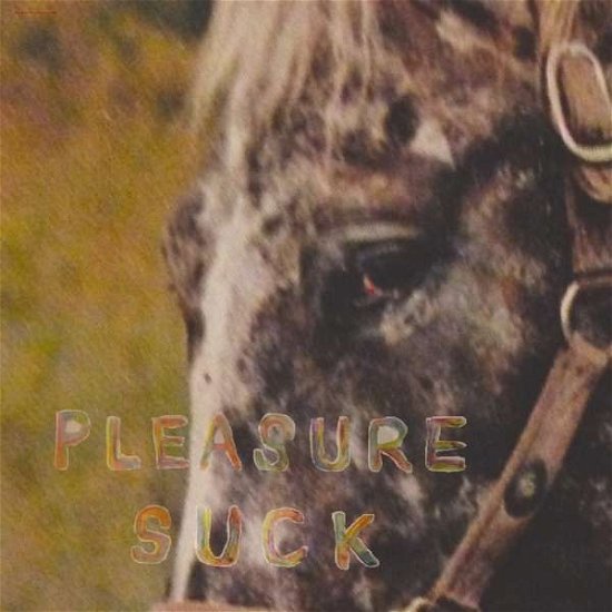 Cover for Spirit of the Beehive · Pleasure Suck (LP) (2017)