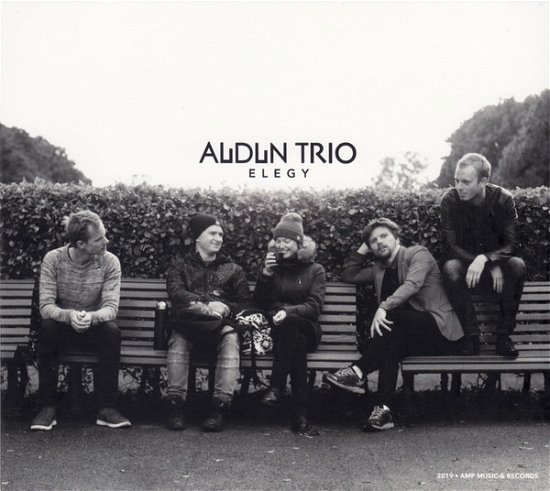 Cover for Audun Trio · Elegy (LP) (2019)