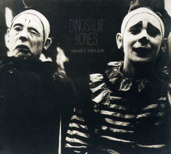 Cover for Dinosaur Bones · Shaky Dream (CD) [Digipak] (2020)