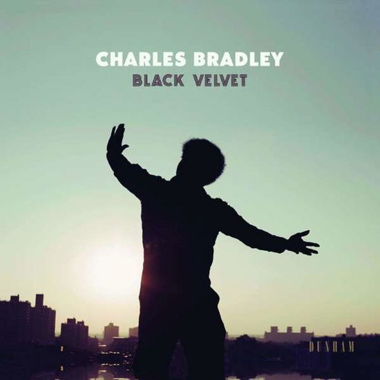 Black Velvet - Charles Bradley - Musiikki - DAPTONE - 0823134005419 - torstai 8. marraskuuta 2018