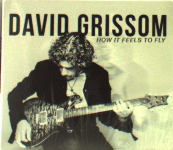 Cover for David Grissom · How It Feels to Fly (CD) (2014)