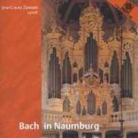 Cover for Johann Sebastian Bach · Bach In Naumburg (CD) (2006)