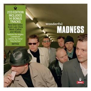 Wonderful - Madness - Music - BMG Rights Management LLC - 4050538829419 - September 22, 2023