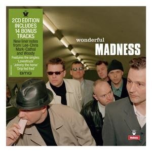 Cover for Madness · Wonderful (CD) (2023)