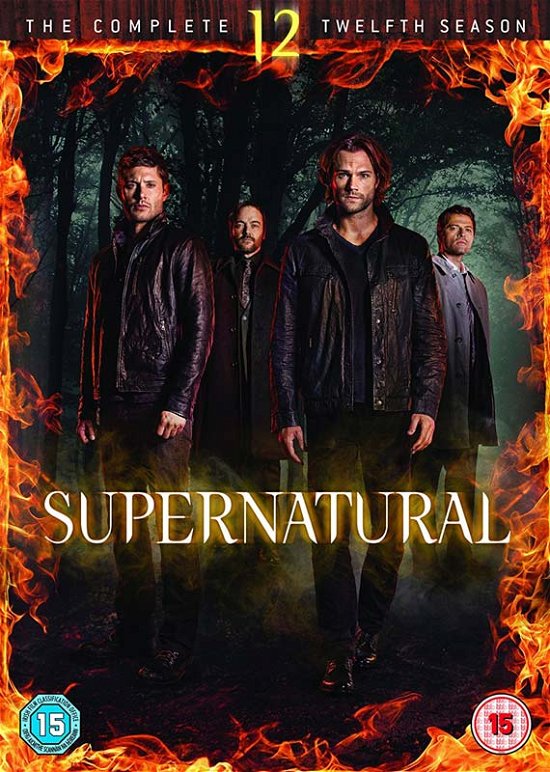 Cover for Supernatural S12 Dvds · Supernatural Season 12 (DVD) (2017)