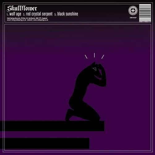 Cover for Skullflower / Mastery · Split (LP) (2013)