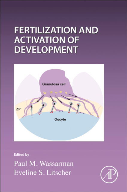 Cover for Current Topics in Developmental Biology: Fertilization and Activation of Development - Current Topics in Developmental Biology (Hardcover Book) (2025)