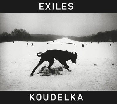 Josef Koudelka: Exiles - Robert Delpire - Books - Thames & Hudson Ltd - 9780500544419 - September 22, 2014