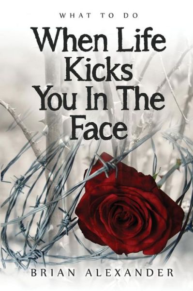 Cover for J Alexander Brian · What to Do when Life Kicks You in the Face (Paperback Book) (2014)