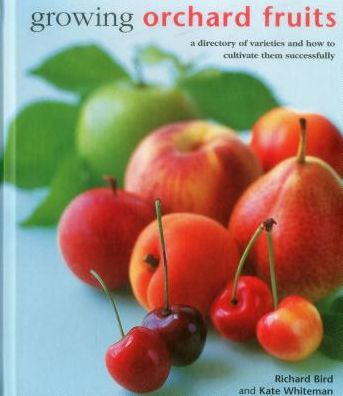 Growing Orchard Fruits: A Directory of Varieties and How to Cultivate Them Successfully. - Richard Bird - Kirjat - Anness Publishing - 9780754831419 - keskiviikko 30. syyskuuta 2015