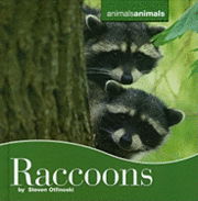 Cover for Steven Otfinoski · Raccoons - Animals, Animals (Hardcover Book) (2011)