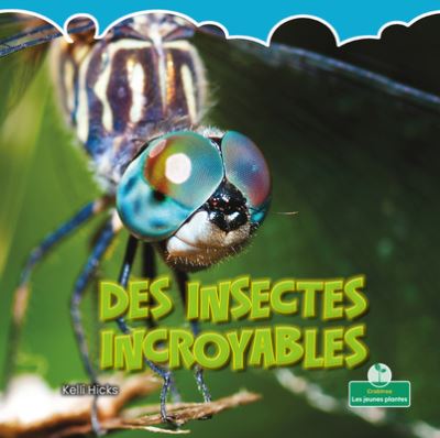 Des Insectes Incroyables - Kelli Hicks - Books - Crabtree Seedlings - Les Jeunes Plantes - 9781039609419 - July 1, 2021