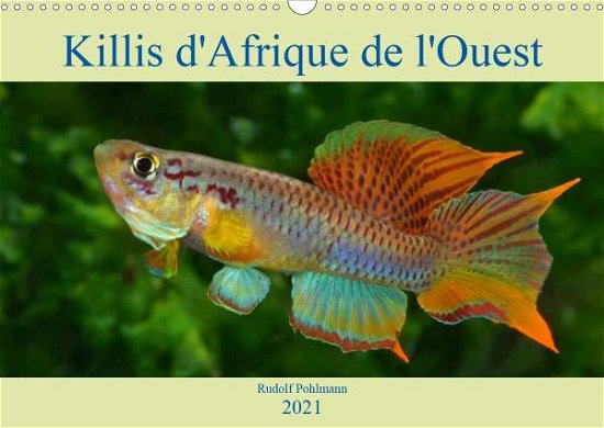 Killis d'Afrique de l'Ouest (C - Pohlmann - Bøger -  - 9781325553419 - 