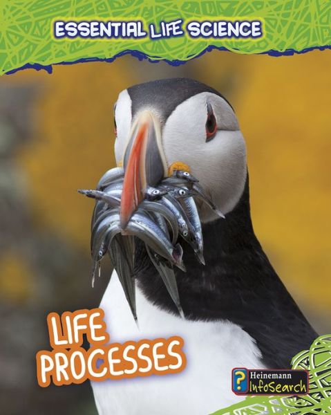 Life Processes - Louise Spilsbury - Books - Capstone - 9781432978419 - July 1, 2013