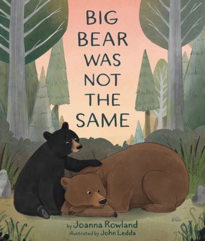 Big Bear Was Not the Same - Joanna Rowland - Books - 1517 Media - 9781506471419 - August 24, 2021