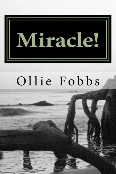 Cover for Dr Ollie B Fobbs Jr · Miracle!: Fiction, Surrounding the Spirit of God (Paperback Book) (2015)