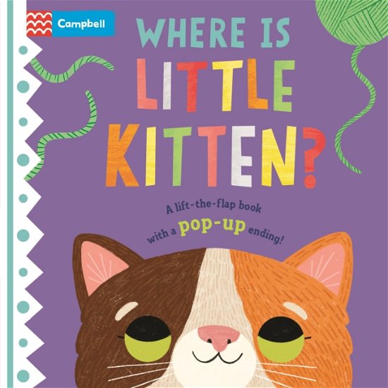 Cover for Campbell Books · Where is Little Kitten?: The lift-the-flap book with a pop-up ending! - Where is Little... (Tavlebog) (2023)