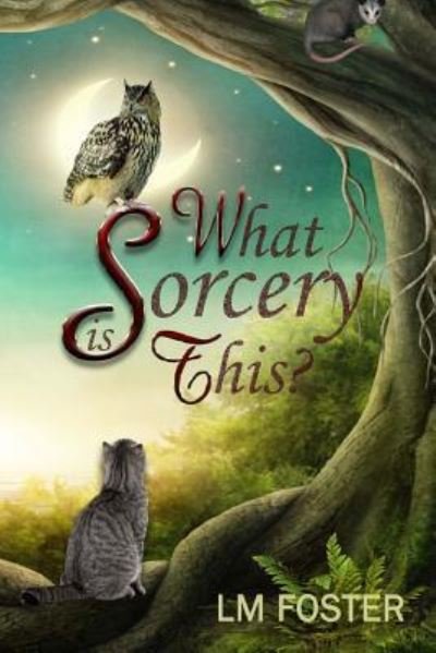 Cover for LM Foster · What Sorcery Is This? (Pocketbok) (2017)