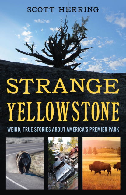 Cover for Scott Herring · Strange Yellowstone: Weird, True Stories about America's Premier Park (Taschenbuch) (2024)