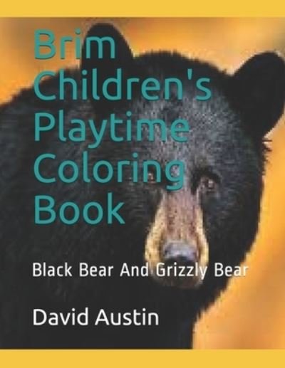 Cover for David Austin · Brim Children's Playtime Coloring Book (Paperback Bog) (2019)