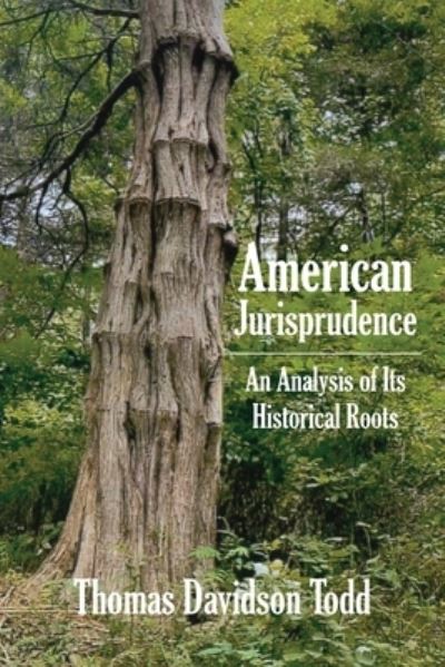 Cover for Thomas Davidson Todd · American Jurisprudence (Paperback Book) (2021)