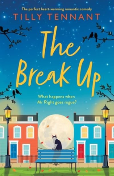 Cover for Tilly Tennant · The Break Up: The perfect heartwarming romantic comedy (Pocketbok) (2020)