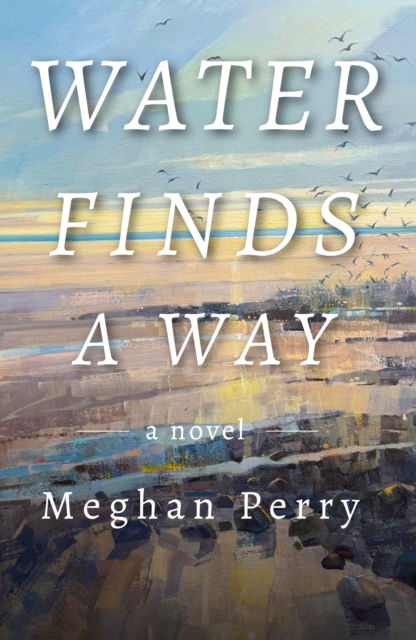 Cover for Meghan Perry · Water Finds a Way a novel (Hardcover Book) (2024)