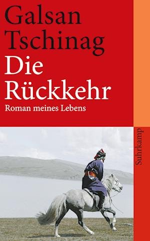 Cover for Galsan Tschinag · Suhrk.TB.4141 Tschinag.Rückkehr (Bog)