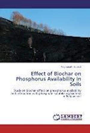 Cover for Subedi · Effect of Biochar on Phosphorus (Book)