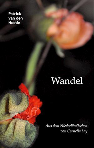 Cover for Patrick Van Den Heede · Wandel (Hardcover Book) (2021)