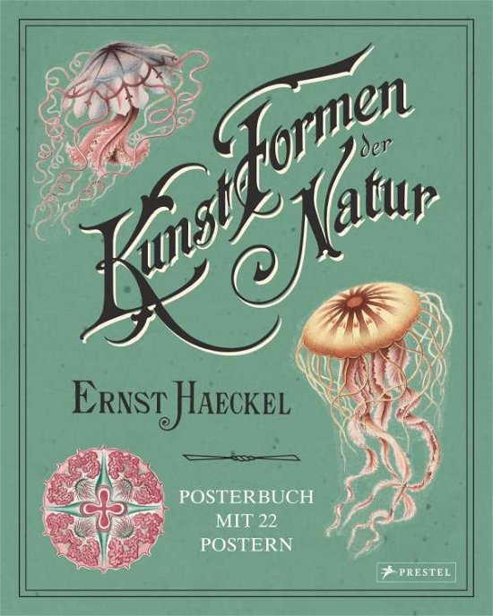 Cover for Uthoff · Ernst Haeckel,Kunstformen (Book)