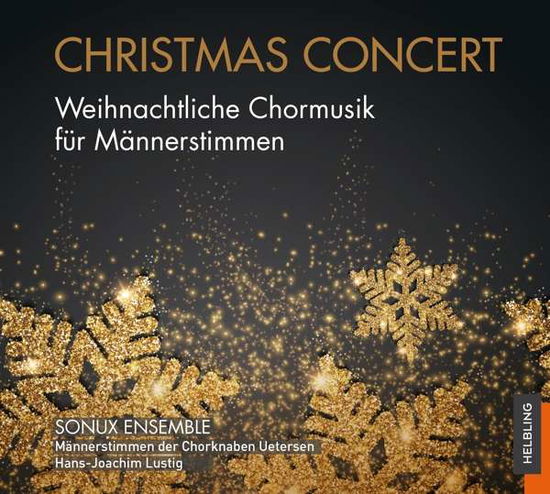 Christmas Concert - Lustig,Hans-Joachim / Sonux Ensemble - Music - Helbling Verlag - 9783990359419 - May 7, 2021