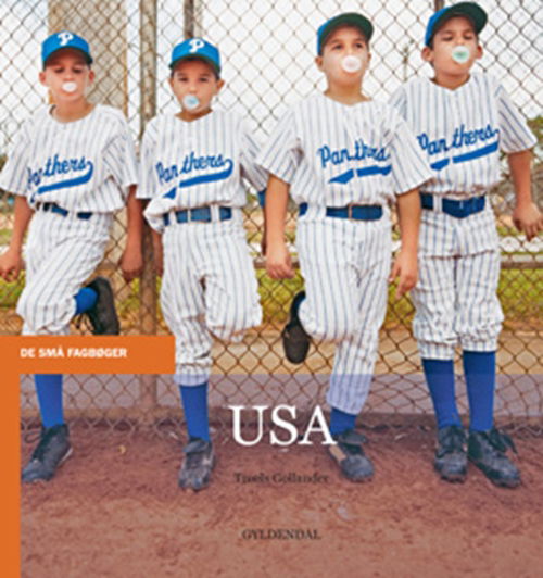 Cover for Troels Gollander · De små fagbøger: USA (Heftet bok) [1. utgave] (2010)