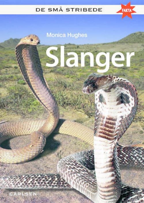 Cover for Monica Hughes · De små stribede: De små stribede FAKTA SLANGER (Bound Book) [1st edition] (2015)