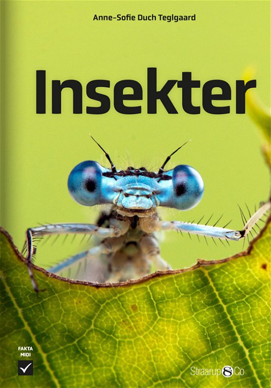 Cover for Anne-Sofie Duch Teglgaard · Midi: Insekter (Hardcover Book) [1e uitgave] (2021)