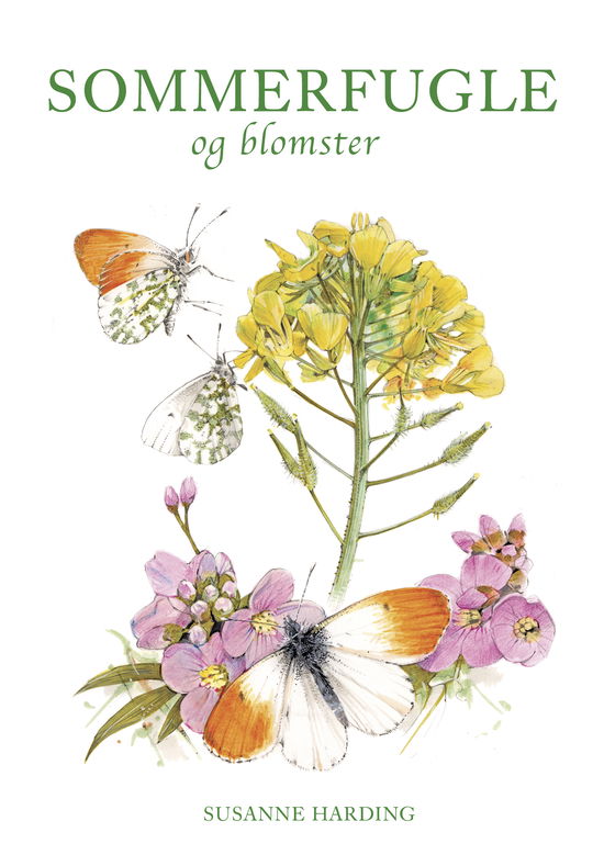 Cover for Susanne Harding · De hvide bøger: SOMMERFUGLE OG BLOMSTER (Inbunden Bok) [1:a utgåva] (2020)