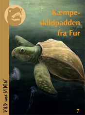 Vild med Viden, Serie 1 Danske fortidsdyr: Kæmpeskildpadden fra Fur - Bo Schultz - Kirjat - Epsilon.dk - 9788799511419 - lauantai 24. maaliskuuta 2012