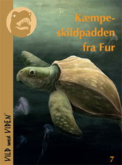 Vild med Viden, Serie 1 Danske fortidsdyr: Kæmpeskildpadden fra Fur - Bo Schultz - Books - Epsilon.dk - 9788799511419 - March 24, 2012