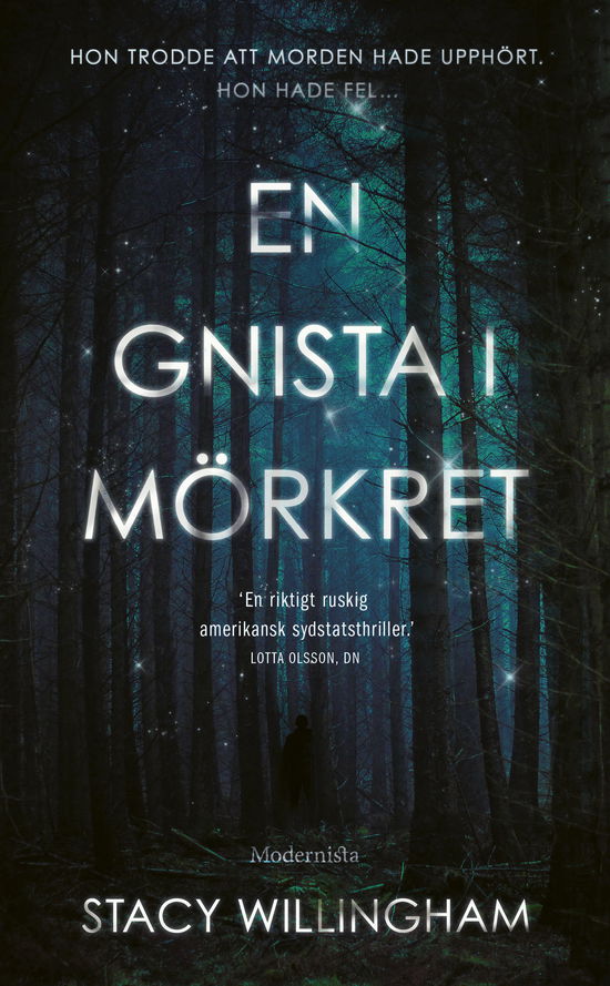 En gnista i mörkret - Stacy Willingham - Bøger - Modernista - 9789180941419 - 11. marts 2024