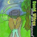 What You Whispered - David Wilcox - Musiikki - BLUES - 0015707956420 - maanantai 21. maaliskuuta 2005