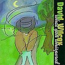 David Wilcox · What You Whispered (CD) (2005)