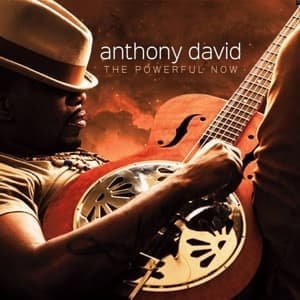 Cover for David Anthony · Powerful Now (CD) (2016)