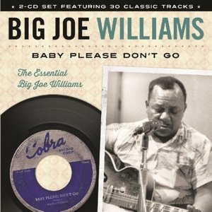 Cover for Big Joe Williams · Big Joe Williams-baby Please Don't Go (CD)
